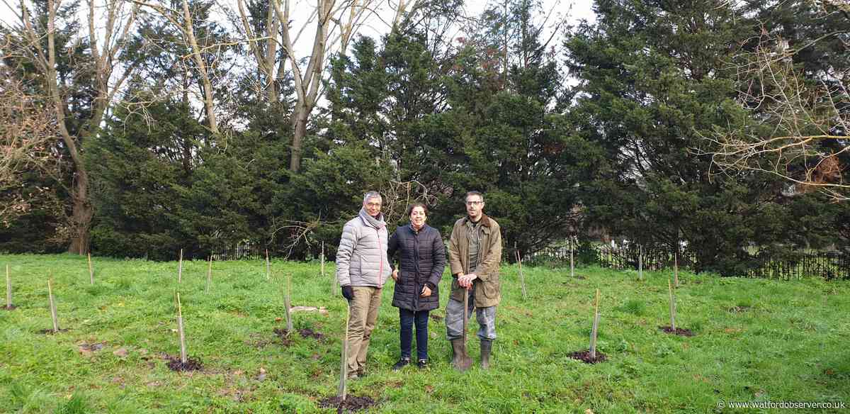 Thirty new trees planted in Harrow as part of Sadiq Khan scheme