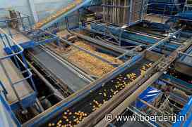 Aviko Potato wil flink groeien met vlokkenaardappelen