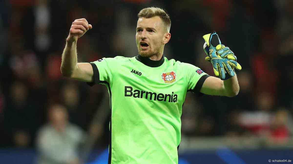 Bayer Leverkusen: Euphorie nach dem Überraschungs-Coup