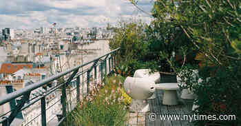 On the Rooftops of Paris, a New Kind of Urban Garden