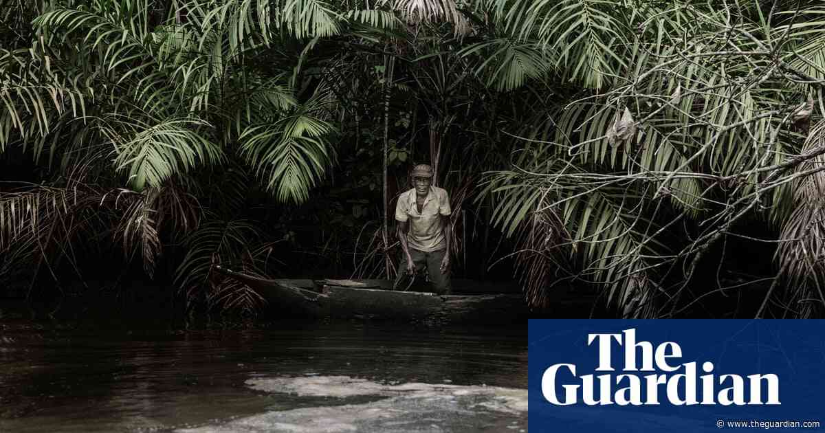 'This place used to be green': the brutal impact of oil in the Niger Delta