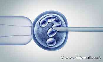 Japan's health ministry recommends ban on implanting human gene edited human embryoes