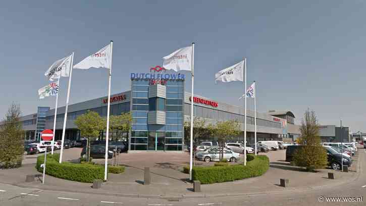 WOS.nl - Intergreen raakt grootste klant Tesco kwijt