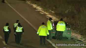 Pedestrian struck by transport truck on QEW remains on life support in 'grim' condition: police