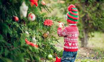 Vast majority of the 12 million Christmas jumpers sold in the UK this year are made with PLASTIC