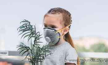 Children are fighting air pollution in their schools by planting trees