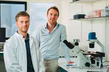 Cultured meat start-up Meatable secures new funding
