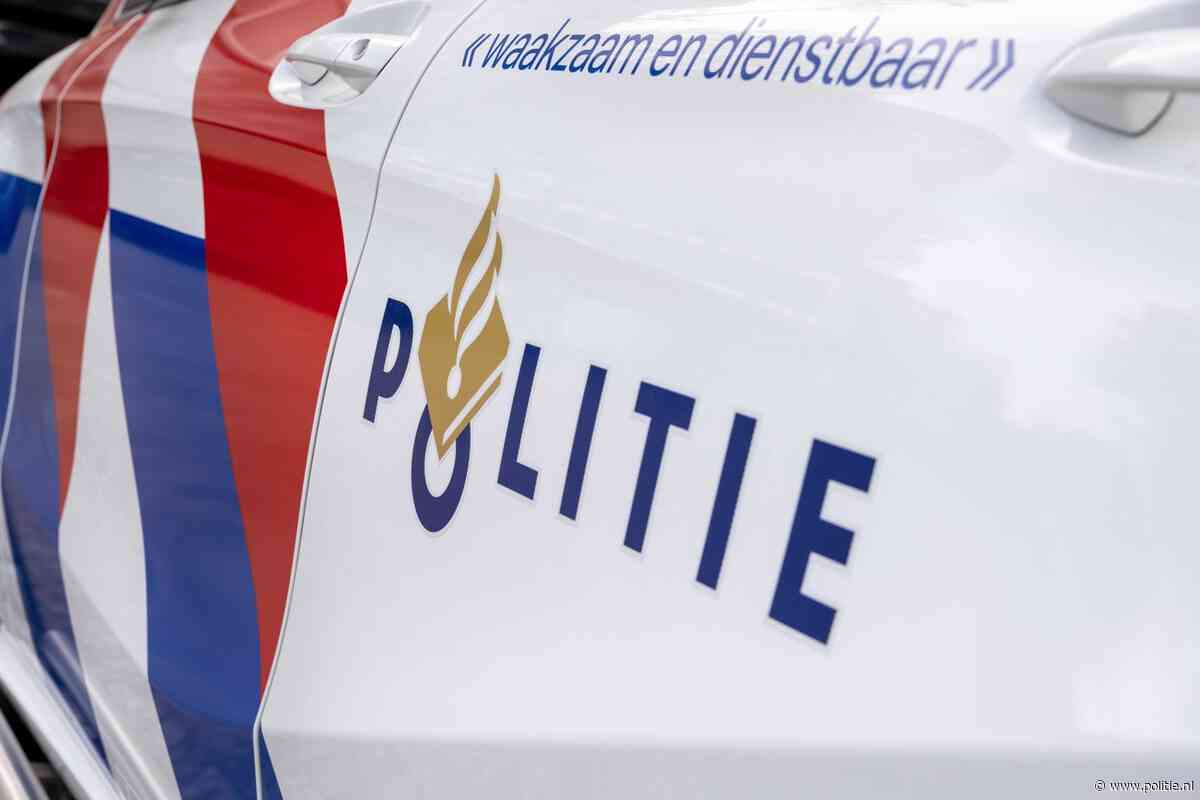 Haarlem - Getuigen gezocht na mishandeling Weltevredenplein