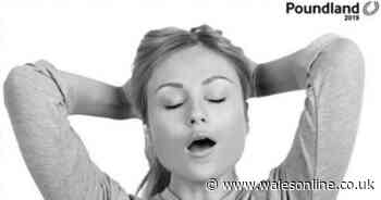 Poundland sharing very rude and cheeky posts for Christmas