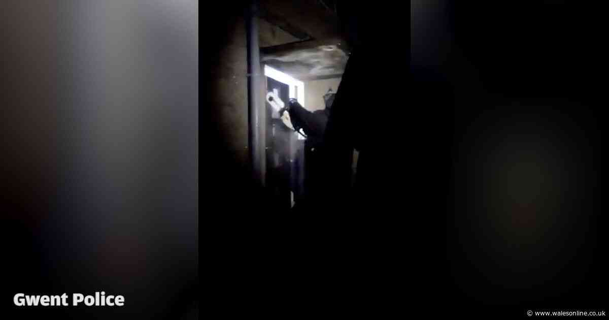 Moment police smash through front door during alleged drugs raid in Ebbw Vale