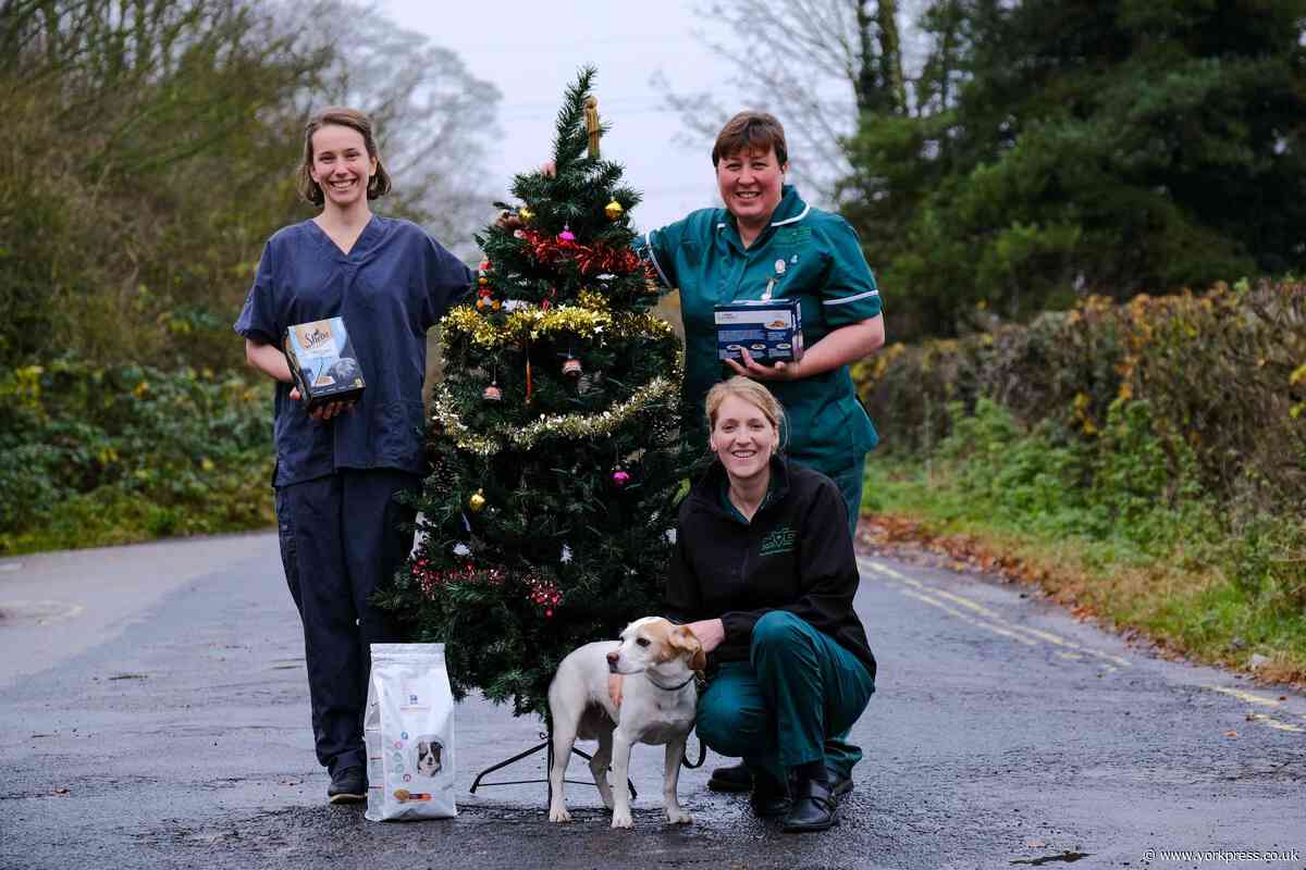 Vets practice launches foodbank appeal - for people and pets