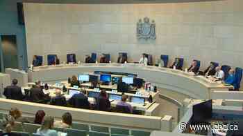 Edmonton council urged at budget public hearing to keep taxes low, rec centres open