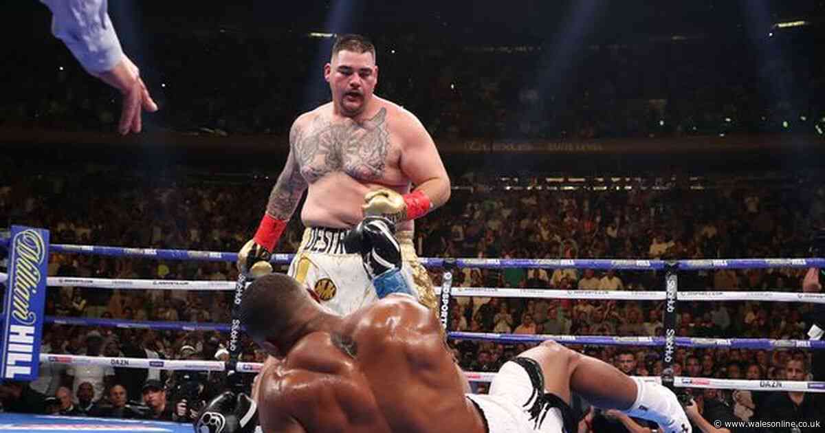 Anthony Joshua v Andy Ruiz Jr 2: preview, ring walk, TV channel and betting odds