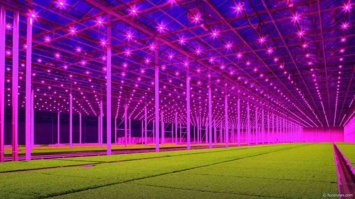Early adopters glastuinbouw worden kind van de klimaatrekening