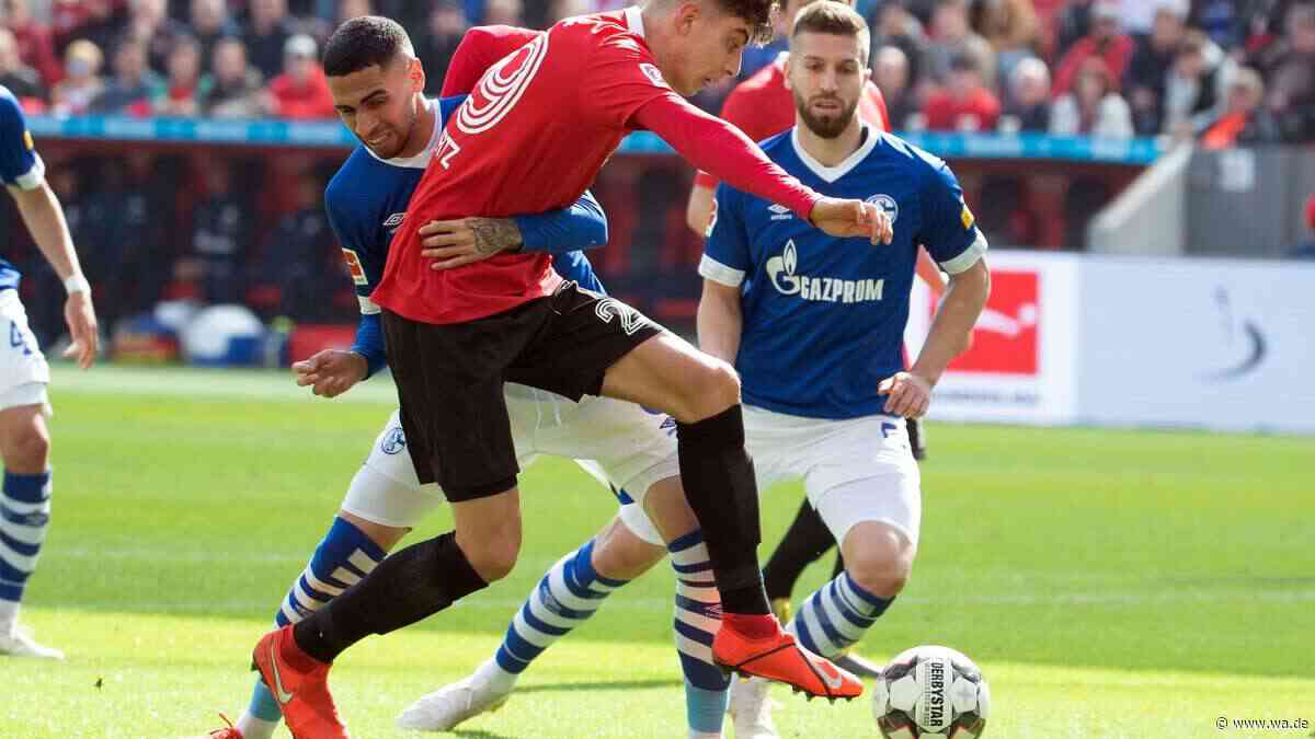 Übertragung im TV: Bayer Leverkusen – FC Schalke live im TV, Live-Stream und Live-Ticker