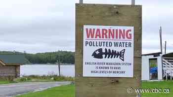 Companies must pay for Grassy Narrows mill site contaminated by mercury, Canada's top court rules