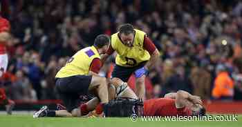 The serious Wales Six Nations injury bulletin as host of players ruled out or in danger of missing tournament