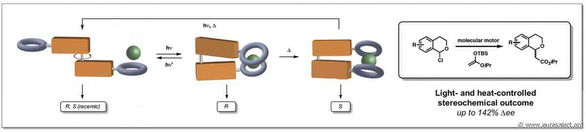 Using a molecular motor to switch the preference of anion-binding catalysts