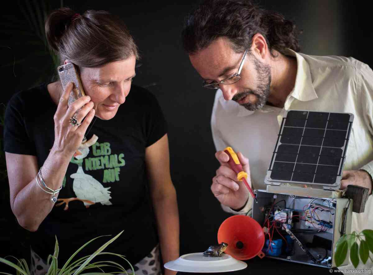 Dial-a-frog -- researchers develop the 'FrogPhone' to remotely call frogs in the wild