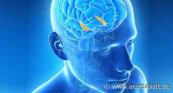 Hirnforschung: Menschliche Isolation lässt Hippocampus schrumpfen