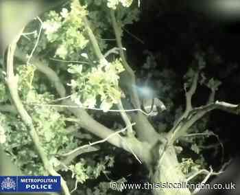 Video: The moment police arrest serial rapist Joseph McCann