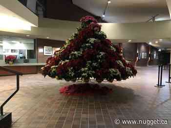 Holiday tree up for grabs at city hall