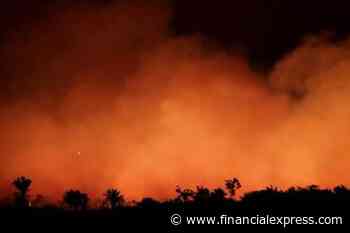 Fires in the Amazon: a barrier to climate change up in smoke