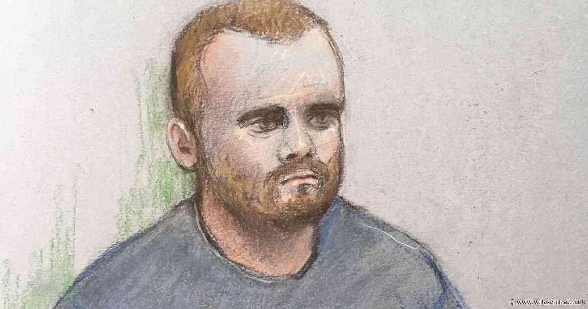 Teen admits throwing six-year-old boy off viewing platform at Tate Modern
