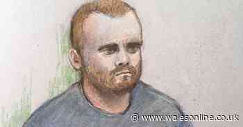 Teen admits throwing six-year-old boy off viewing platform at Tate Modern