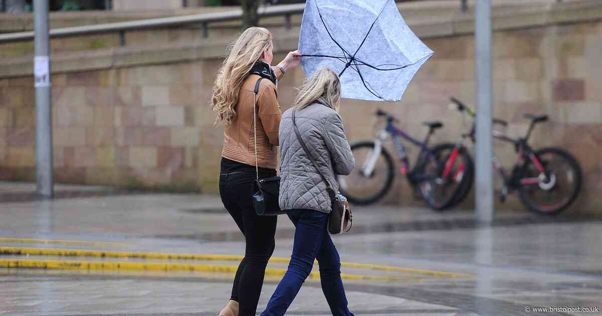 UK weather: Met Office issue wind warning for this weekend - what to expect