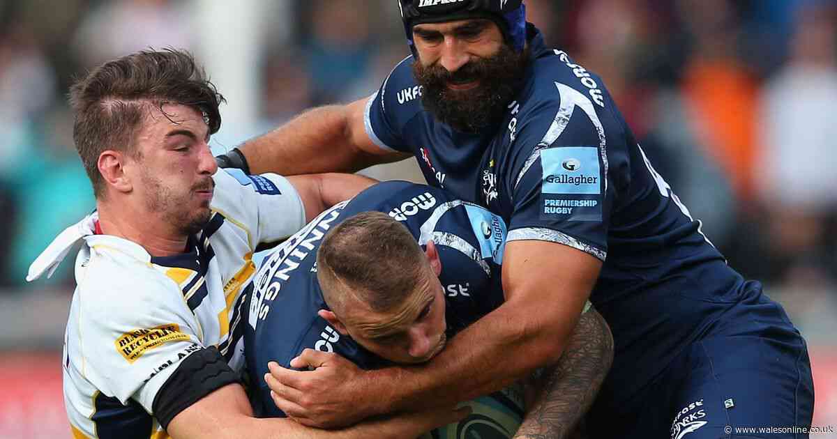 English Premiership boss re-signs Welsh flanker and is confused why Wales have never picked him