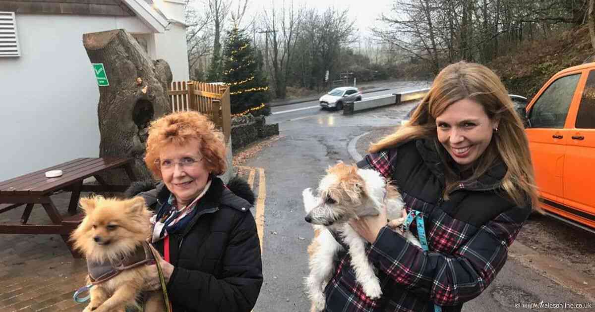 Boris Johnson’s girlfriend Carrie Symonds has been wandering around Gower with her dog