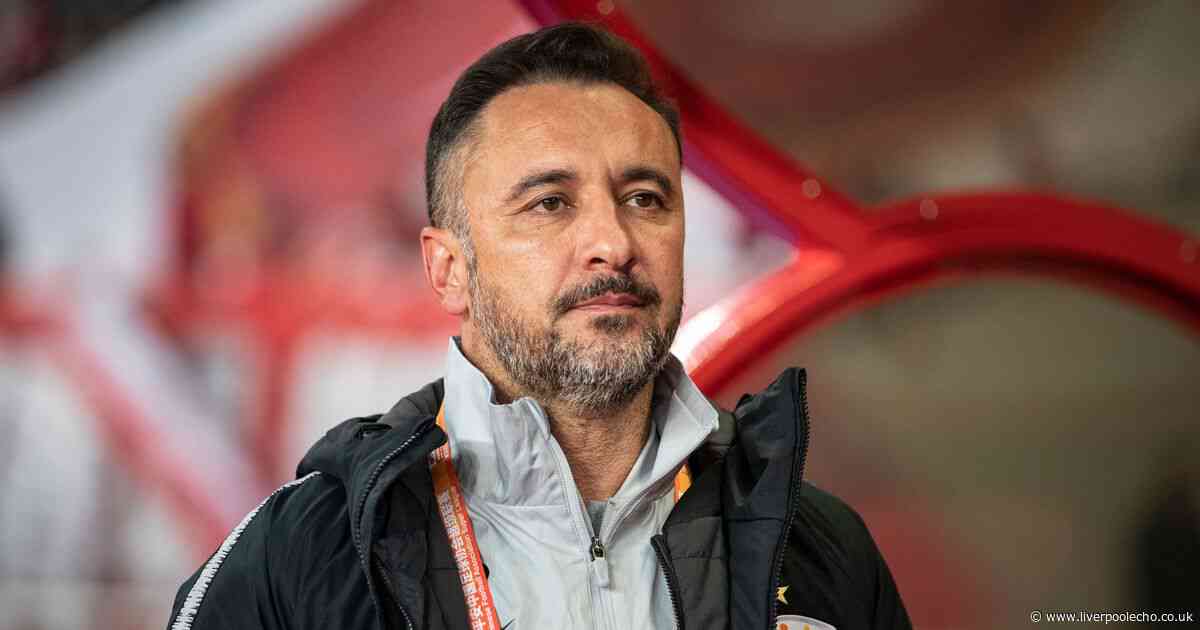Former Premier League defender gives lowdown on Vitor Pereira amid Everton manager links