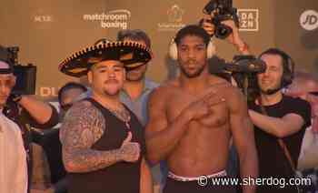 Andy Ruiz Jr. Gets Heavier, Anthony Joshua Slims Down Ahead of Heavyweight Rematch