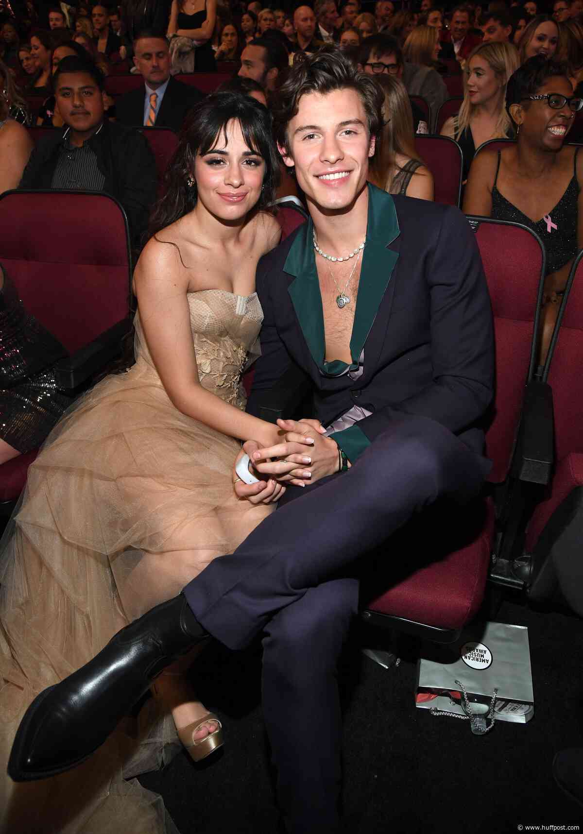 Camila Cabello: Shawn Mendes And I Had 'Stupid' Crushes On Each Other Before Dating