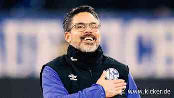 Titel-Träume auf Schalke? "Wir sind brutal ambitioniert"