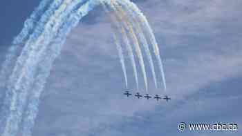 Snowbirds aerobatics team returns to full operations after crash in U.S.