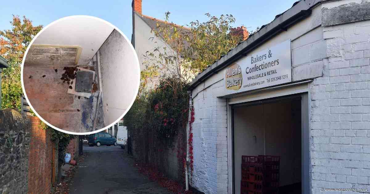 Mice, mould and dirty walls found at 100-year-old Cardiff bakery