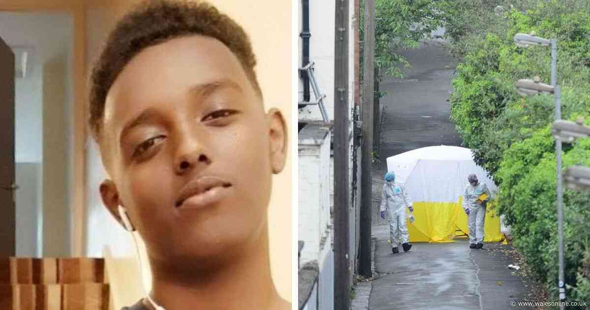 Masked knifeman and two others 'trapped alleged murder victim and hit him with knife', court told