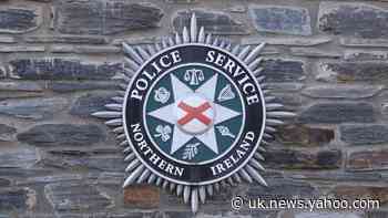 31 dogs rescued by police in Co Tyrone