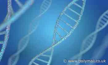 Y chromosomes mysteriously DISAPPEAR in up to 44% of men by the time they reach 70