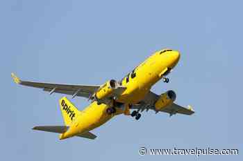 Spirit Airlines Flies Lawsuit Against DOT Over Newark Flight Rights
