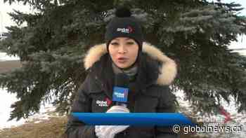 Managing Maternal Mental Health in Winter Months