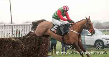 Horse Power: Definitly Red can win the Becher Chase at Aintree Racecourse