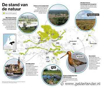 Kwetsbare Veluwe staat er slecht voor: ‘Het is dweilen met de kraan open’