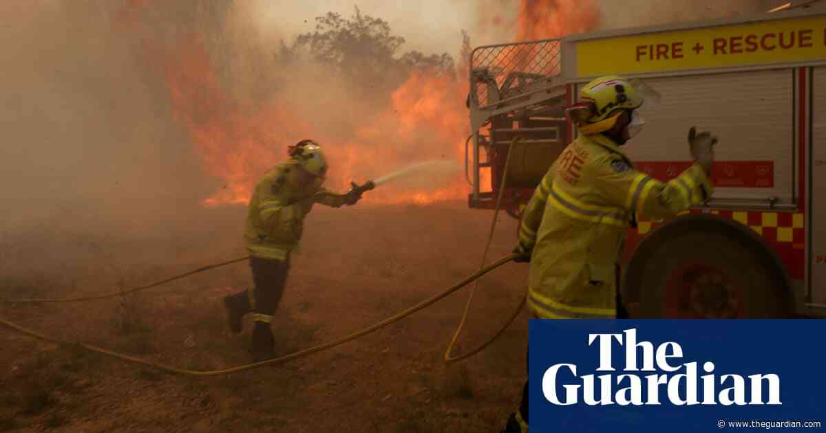 Leading scientists condemn political inaction on climate change as Australia 'literally burns'