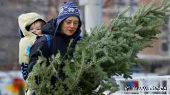 O Tannenbaum! Natural Christmas trees in short supply across Alberta