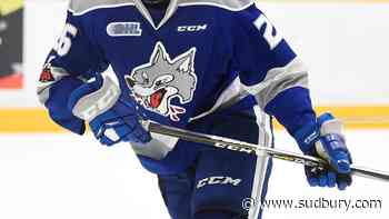 Wolves close out homestand with games against Flint and Barrie this weekend