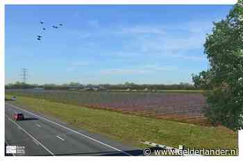 Dubbele opbrengst: gewassen onder mega-zonnepark bij A73