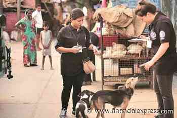 Shortage of anti-rabies injections in Delhi! HC directs govt to provide ARV vaccines to all govt hospitals
